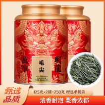 明前毛尖茶新茶浓香型高山绿茶春茶嫩芽散装罐装茶叶250g