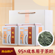 新茶毛尖茶叶高山绿茶罐装清香雨前嫩芽浓香型罐装500g