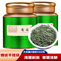 2026毛尖茶叶新茶明前春茶浓香型炒青毛尖绿茶嫩芽茶叶