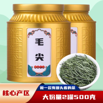 正宗毛尖茶2026新茶叶明前春茶嫩芽散装罐装绿茶500g