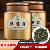 新茶安溪新枞铁观音茶叶清香浓香型春茶罐装乌龙茶500g