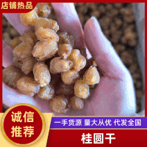 桂圆干桂圆肉无核大果无硫干净颗颗饱满常年批发
