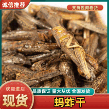 蚂蚱干中药材蝗虫蚱蜢飞蝗新货干净