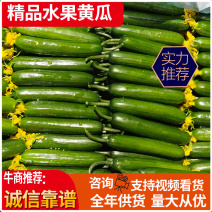 水果黄瓜，基地直采直发，批发，电商团购，规格价格齐全