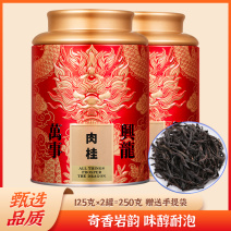 武夷岩茶正岩肉桂茶果香浓香型250g正宗大红袍乌龙水仙