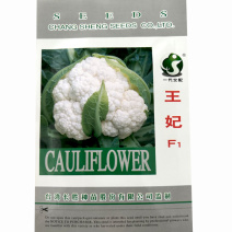 王妃花椰菜种子早中熟春秋美妃花菜大全文兴蔬菜种孑一代交配