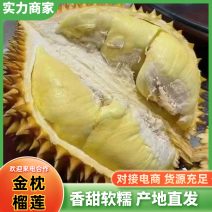 金枕榴莲榴莲质量保证对接全国等量大优惠对接全国