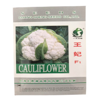 王妃花菜种子早中熟花椰菜种子高产耐热耐湿白花菜种子
