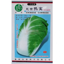 抗热大白菜种子永荣热宝48天夏阳白菜种子早熟耐高温