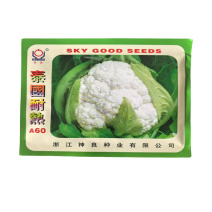 泰国耐热A60花菜种子耐热株型矮壮球白球紧实种子高产