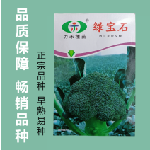 【力禾种苗】绿宝石西兰花种子耐寒耐湿绿菜花种子基地优选