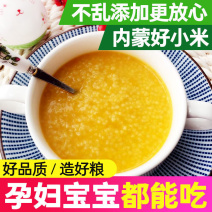 黄小米产地直发量大质优价格优惠一手货源欢迎咨询采购