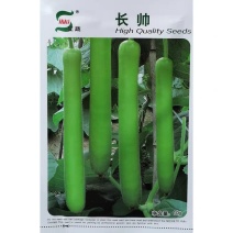 长帅瓠子种子瓠瓜种子长蒲瓜种子江蔬种苗杂交瓠子瓜种子