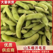 超市市场电商山东毛豆无斑无麻颗粒饱满大量供应现场挑货满意为止