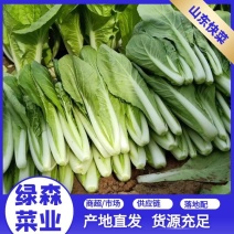 【推荐】山东快菜小青菜产地供货代办全国货源稳定