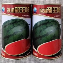 浪潮甜王06西瓜种子暗花皮特大高糖甜王奶香西瓜种籽香甜