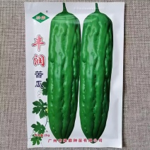 台湾翡翠苦瓜种子瓜码密肉厚台湾原种引进苦瓜早熟