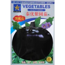 秦优紫圆茄种子早熟果大肉多快圆茄黑茄子种籽基地大田高产