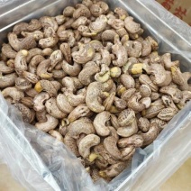 新疆精品腰果干果品类齐全产地直发价格优惠发全国市场