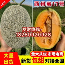 新疆吐鲁番哈密瓜精品西州蜜17号.25号、大量出货