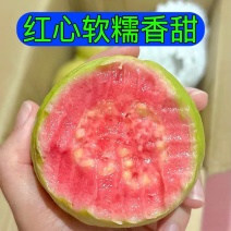 广西精品红心芭乐红宝石番石榴果园直发口感软糯香甜低糖批发