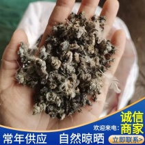 颗粒小鸡粪/发酵鸡粪/自然风干鸡粪/纯干无杂质/常年供应