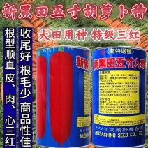 新黑田五寸人参胡萝卜种子耐热抗病耐裂根
