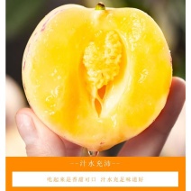 石林树熟人参果支持一件代发，人参果，诚信为本
