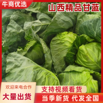 山西甘蓝莱大量有货！要的老板下单了！价格低！一手货源