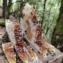 热卖百花蜜农家蜂蜜深山百花蜂蜜云南蜂蜜普洱蜂蜜批发零售