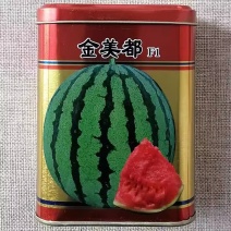 大禹金美都西瓜种子果肉酥脆甘甜多汁皮薄韧耐裂高糖早熟西瓜