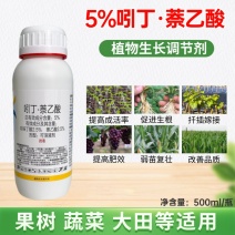 吲丁萘乙酸提高成活率扦插促根植物生长调节剂老牌子正牌