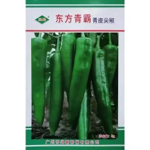 东方青霸青皮尖椒种子辣椒种籽大牛角椒果皮光滑深绿辣味适中