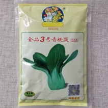 金品3号杂交青梗菜种子耐抽苔高产青菜种籽叶色亮绿束腰好