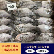 冷冻三去罗非鱼批发新鲜免处理30条8斤装餐饮冻品