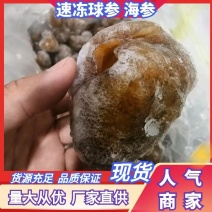 一亩田 | 海参货源批发 | 供应列表