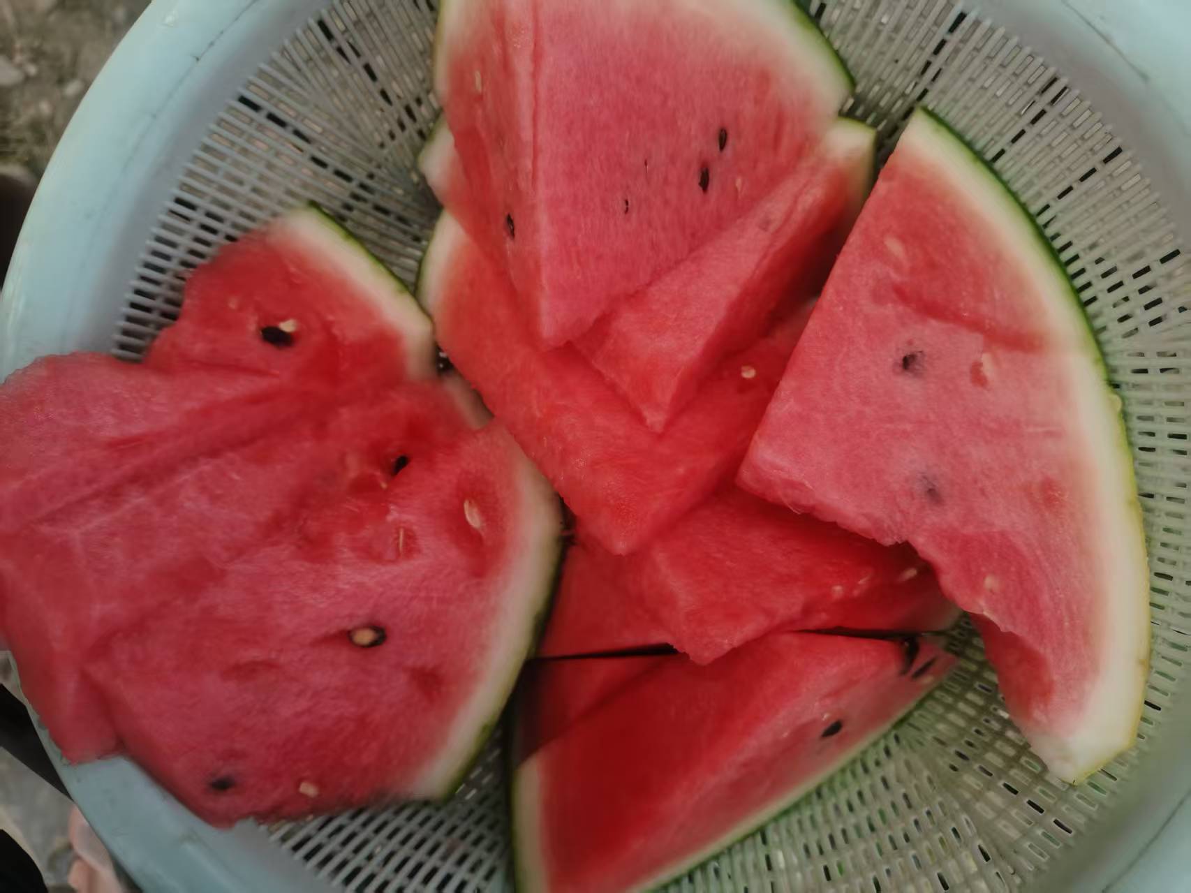 甜王西瓜切面特写