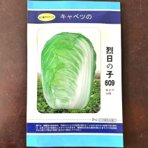 烈日是609夏阳白菜种子反季节种植耐抽苔结球紧实