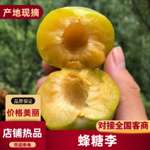 蜂糖李李子产地直发对接全国电商市场社区团购5斤装