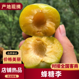 贵州蜂糖李价格多少钱一斤