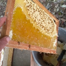 农家土养百花蜜蜂蜜品质保障价格实惠诚信经营