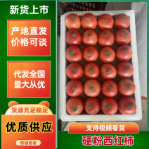 【实力推荐】河北西红柿河北硬粉西红柿供应全国市场