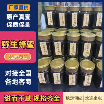 天然野生黑蜜涯蜜百花蜜产地直发质量保证全国发货