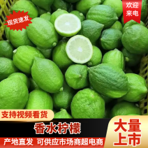 【柠檬】广东香水柠檬广西香水柠檬量大优质有售后保障