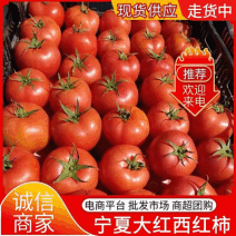 大红西红柿&宁夏西红柿/产地大量供应/现摘现发/全国发货