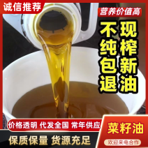 【精品】纯正菜籽油产地直发对接商超电商大量供应
