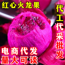 红心火龙果一件代发京都一号红肉火龙果红色当季新鲜水果