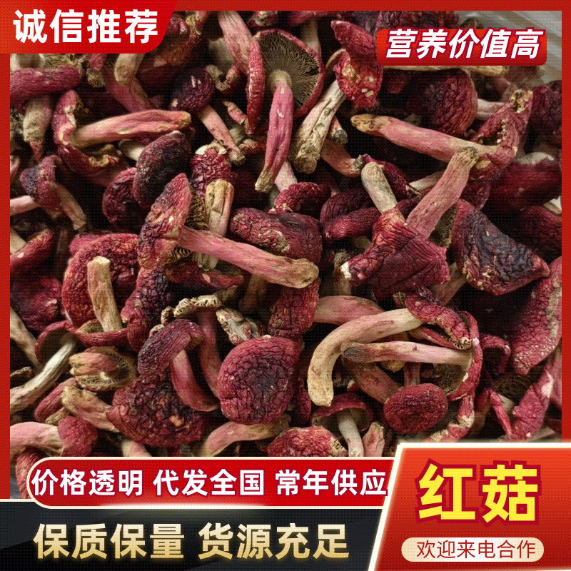 [红菇批发]广西梧州藤县红菇 680.00元/斤深山纯野生红菇批 _ 一亩田