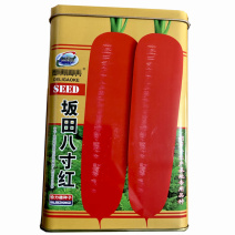 坂田八寸红胡萝卜种子三红早熟耐热耐寒大田基地种