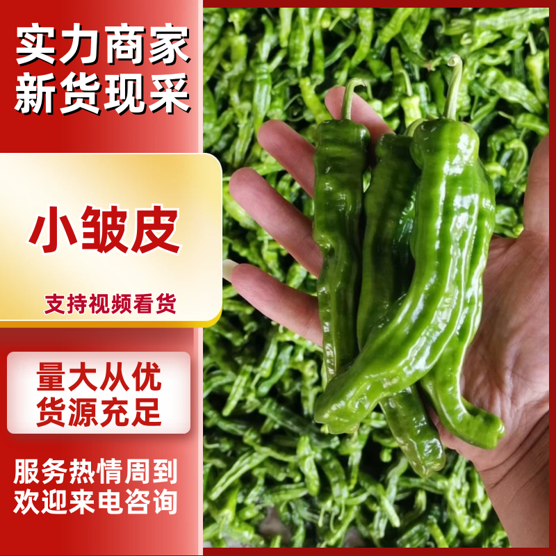 [皱皮椒批发]陕西榆林定边县鲜辣椒 2.20元/斤皱皮椒 陕西小 _ 一亩田